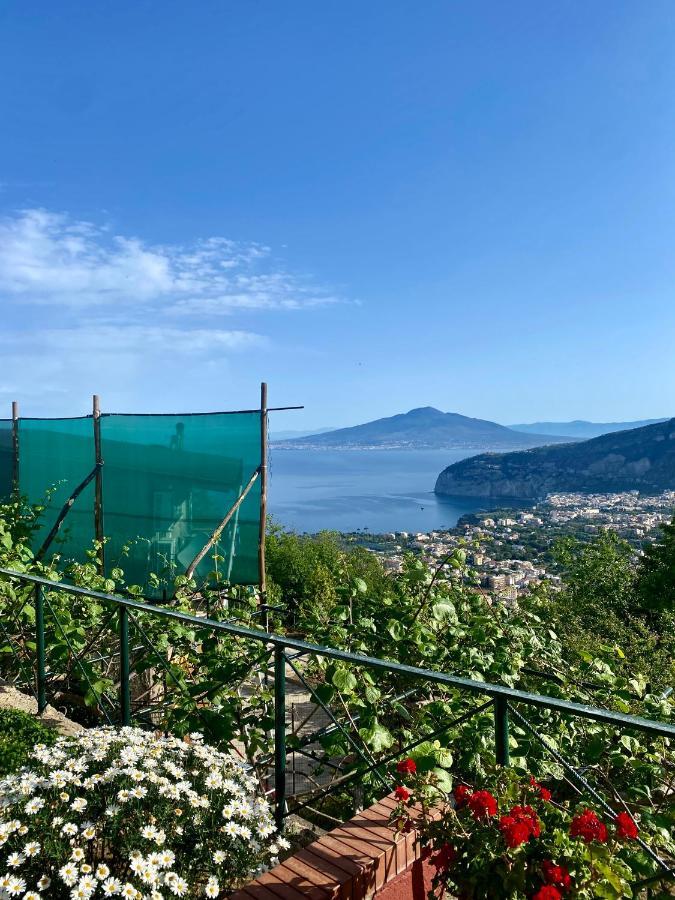 Villa Monica B&B Sorrento Luaran gambar
